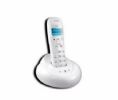 Imcall P103 Wireless Phone